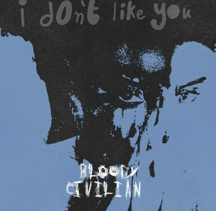 I Dont Like You Lyrics by Bloody Civilian 