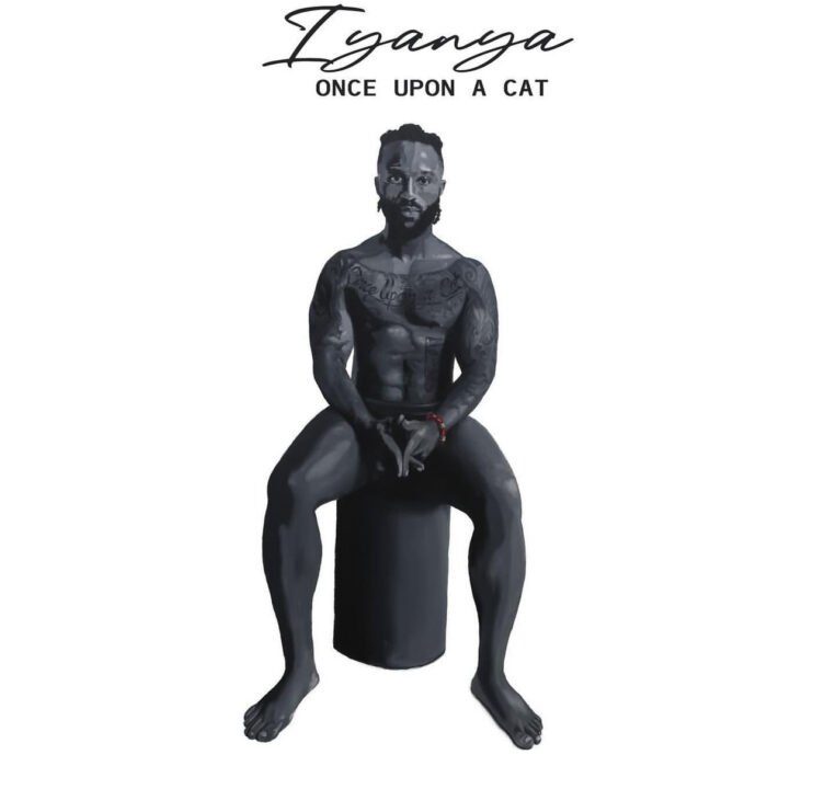 Cover Art for Once Upon A Cat album by Iyanya